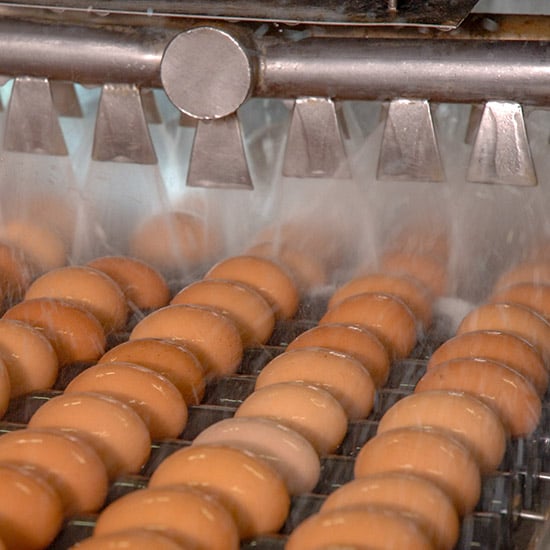 eggs being washed with recaptured, recycled water