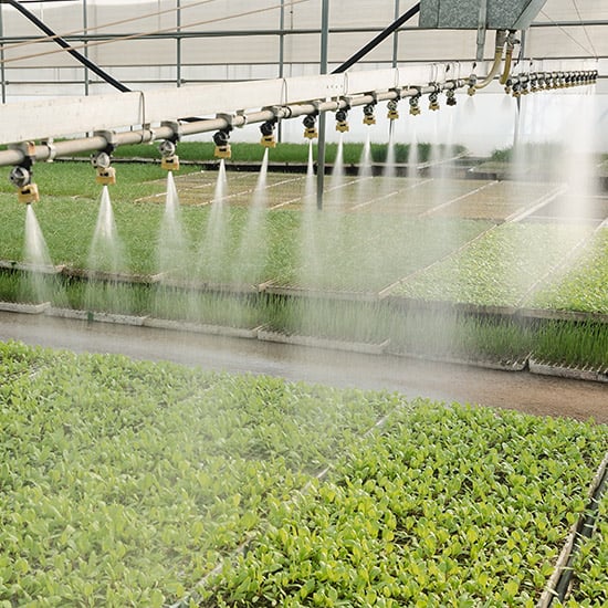 typical commercial greenhouse overhead spray irrigation system