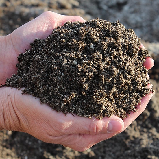 pumice-enhanced garden soil