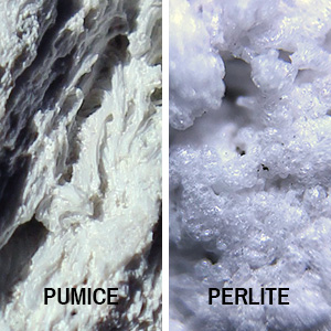 pumice and expanded perlite side-by-side comparison