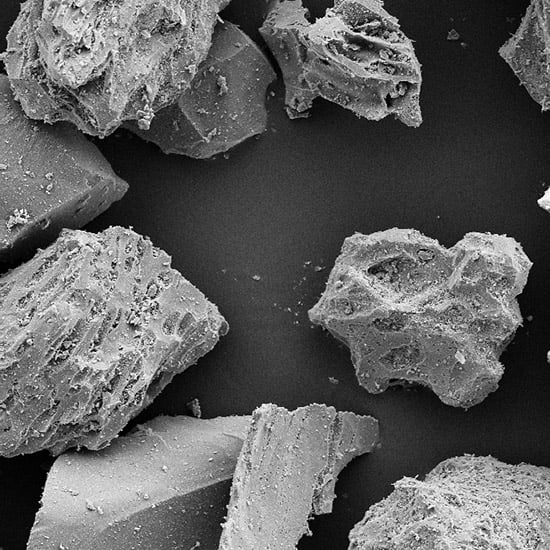 micrograph of pumice powder showing foamed stone structure
