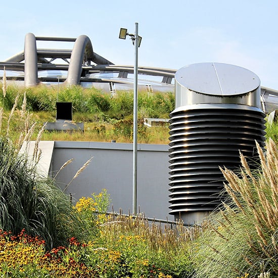 green roof soils must be carefully engineered using lightweight components, like pumice.